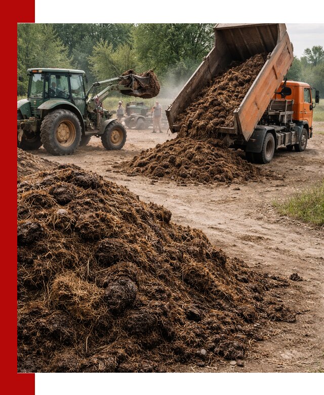 Доставка навоза самосвалами в Воткинске для сельхозпотребностей